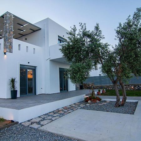 Livis Luxury Villa Kiotari Dış mekan fotoğraf